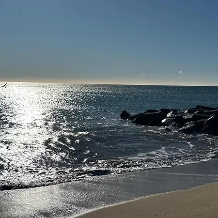 T2 With Terrace In Apartment